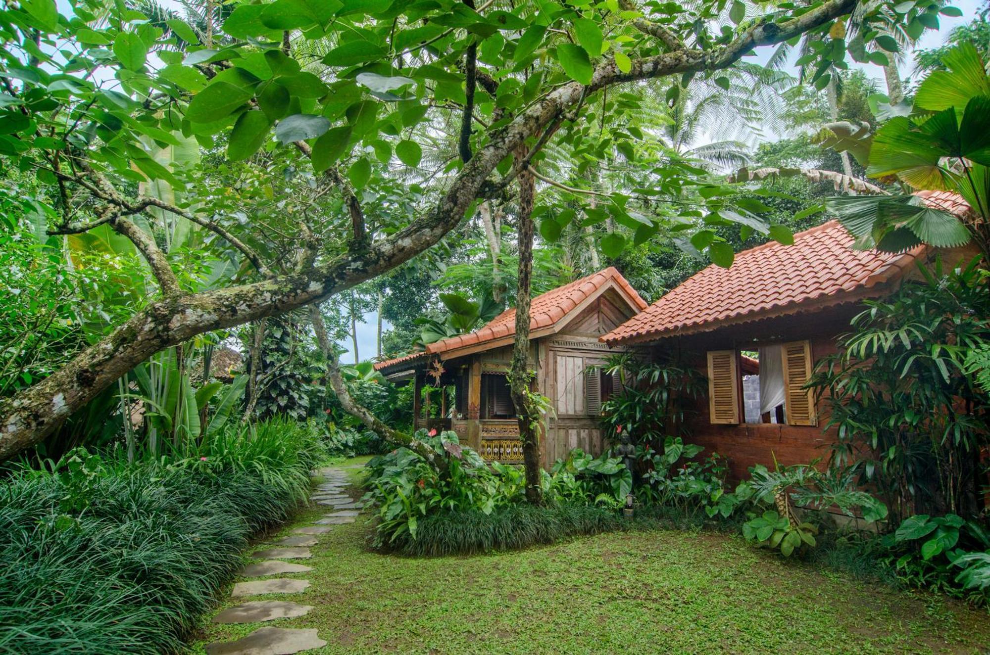 Dewi Tara Haven Bed and Breakfast Payangan Habitación foto