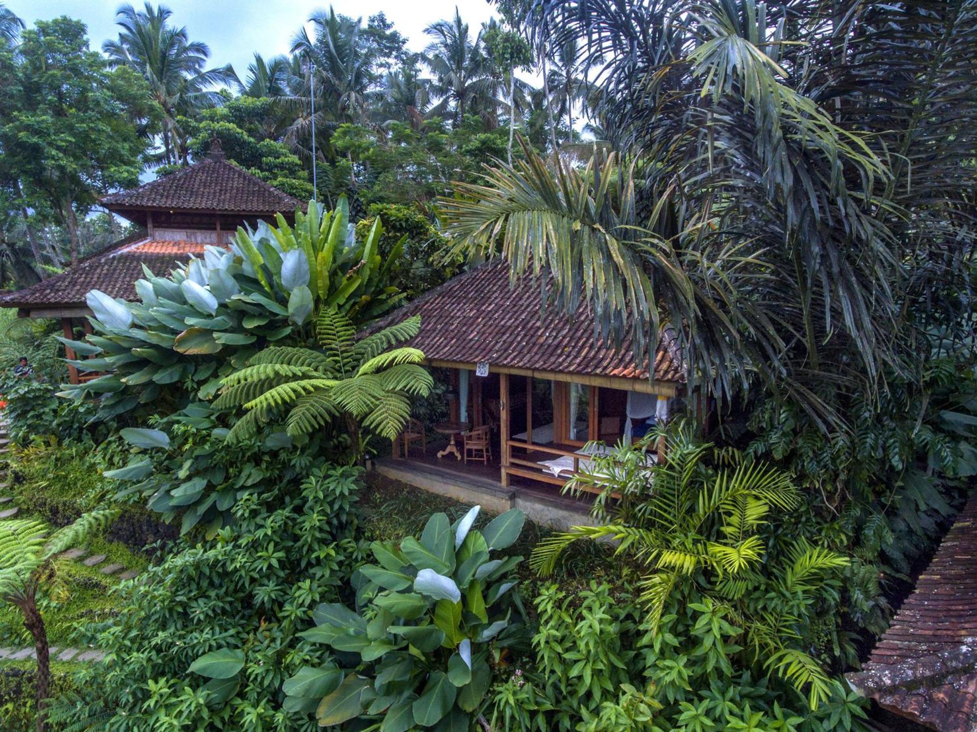 Dewi Tara Haven Bed and Breakfast Payangan Habitación foto