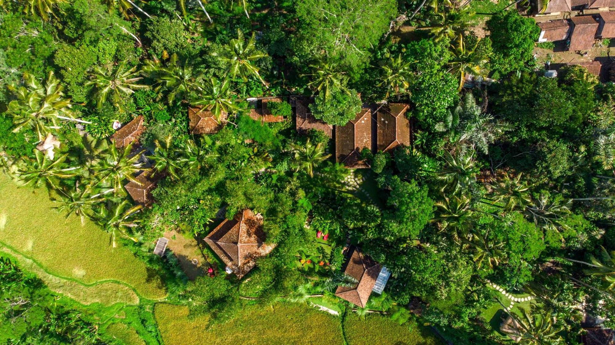 Dewi Tara Haven Bed and Breakfast Payangan Exterior foto