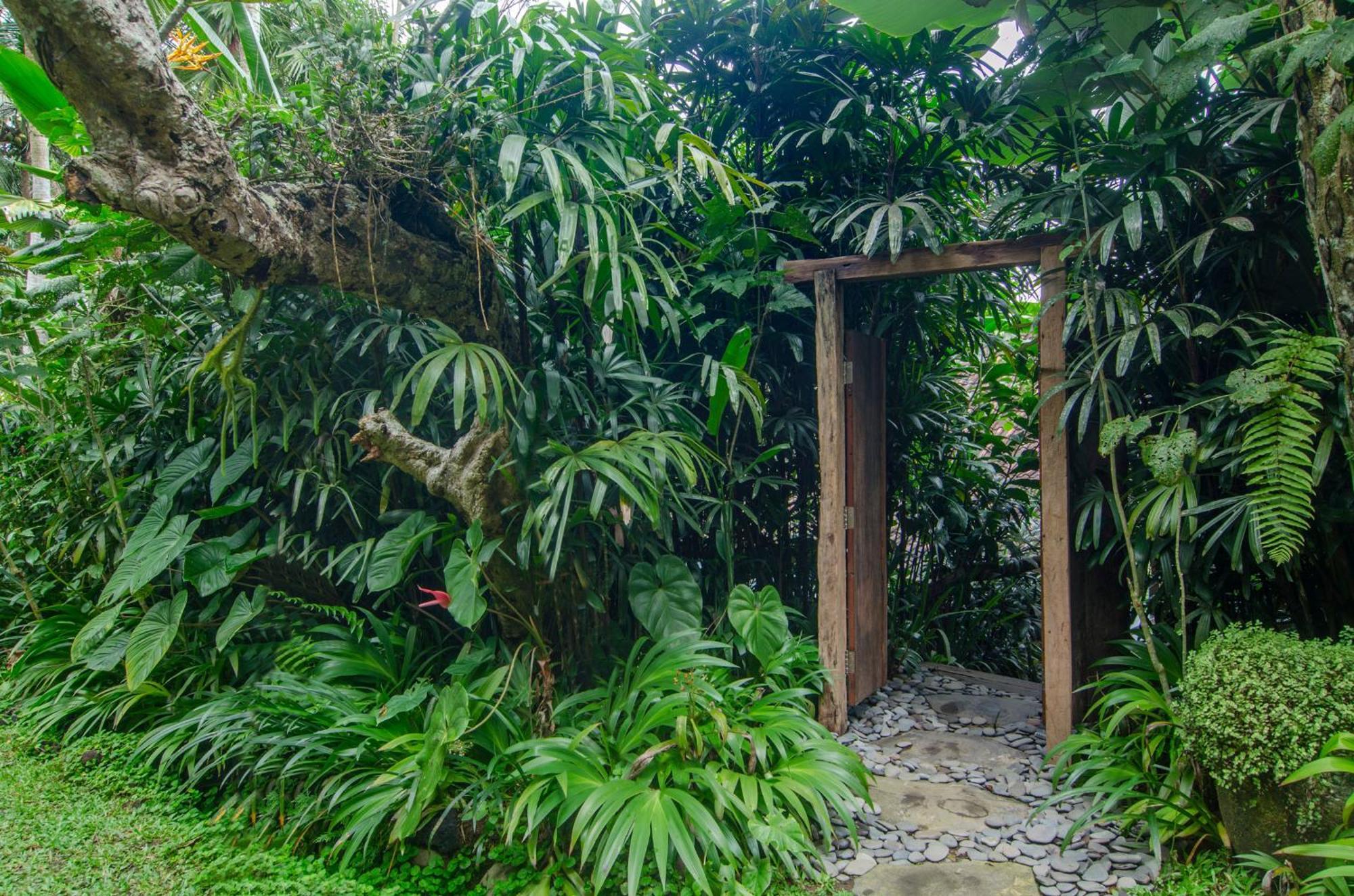 Dewi Tara Haven Bed and Breakfast Payangan Habitación foto
