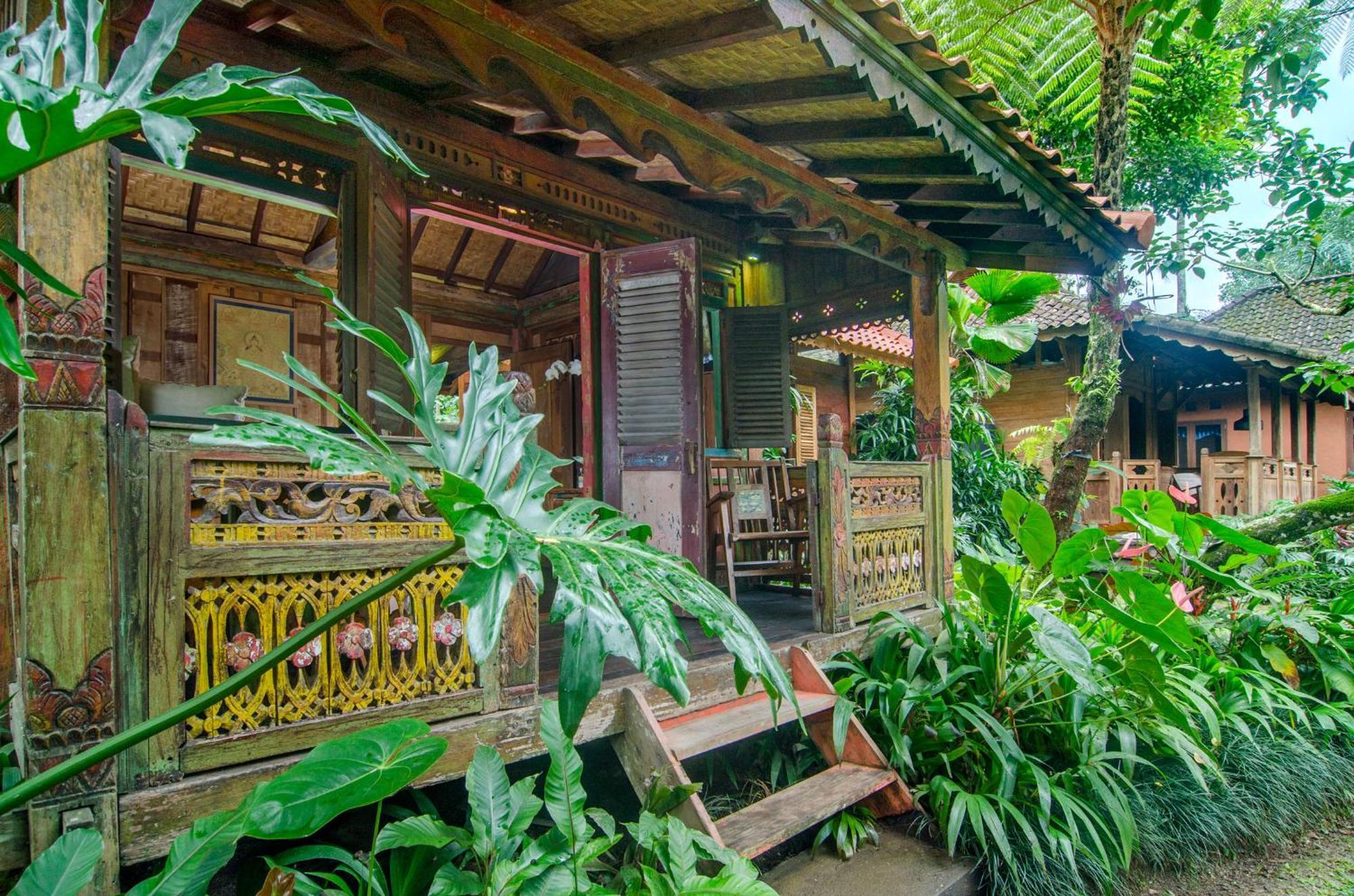 Dewi Tara Haven Bed and Breakfast Payangan Habitación foto