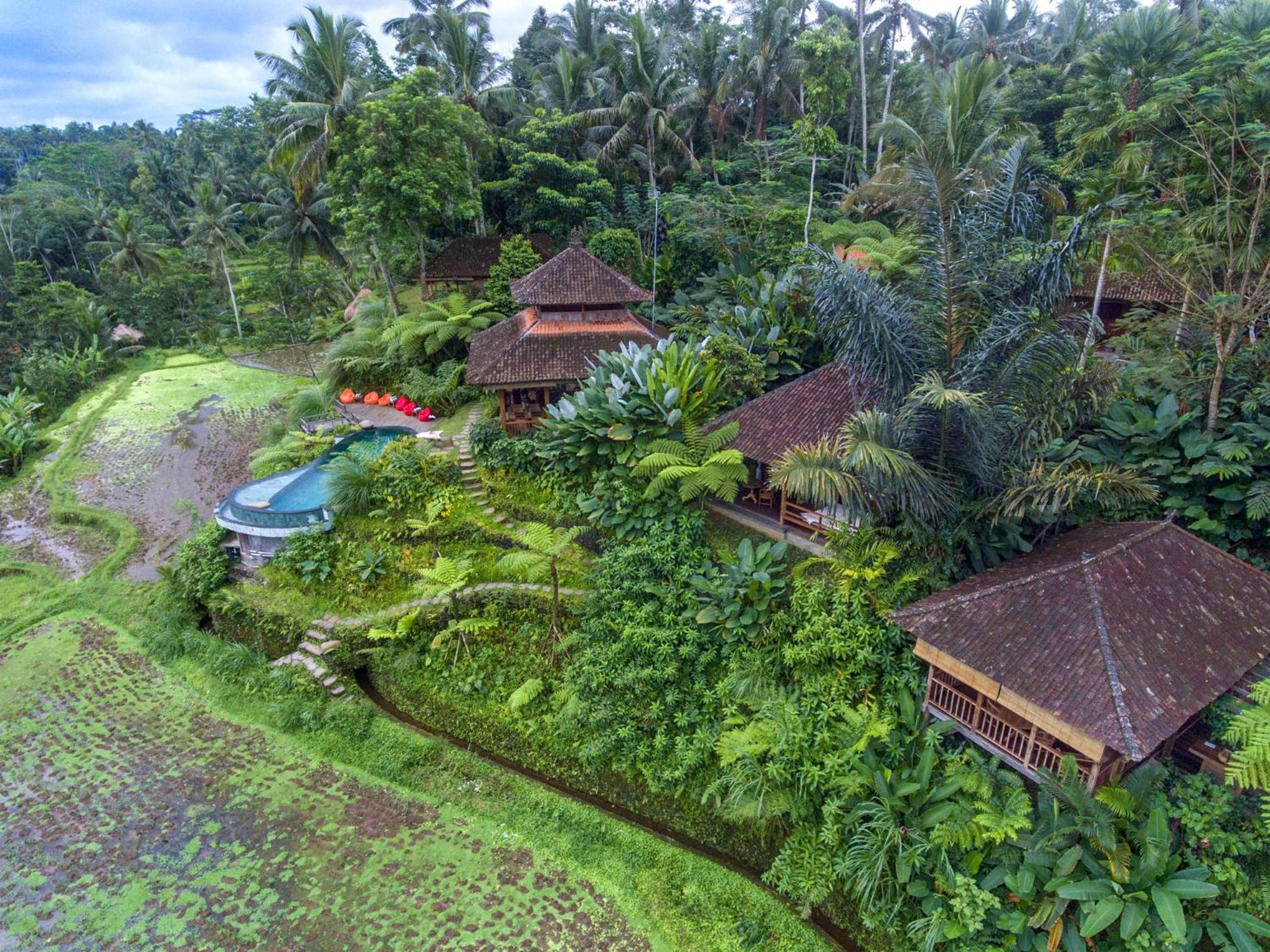 Dewi Tara Haven Bed and Breakfast Payangan Habitación foto