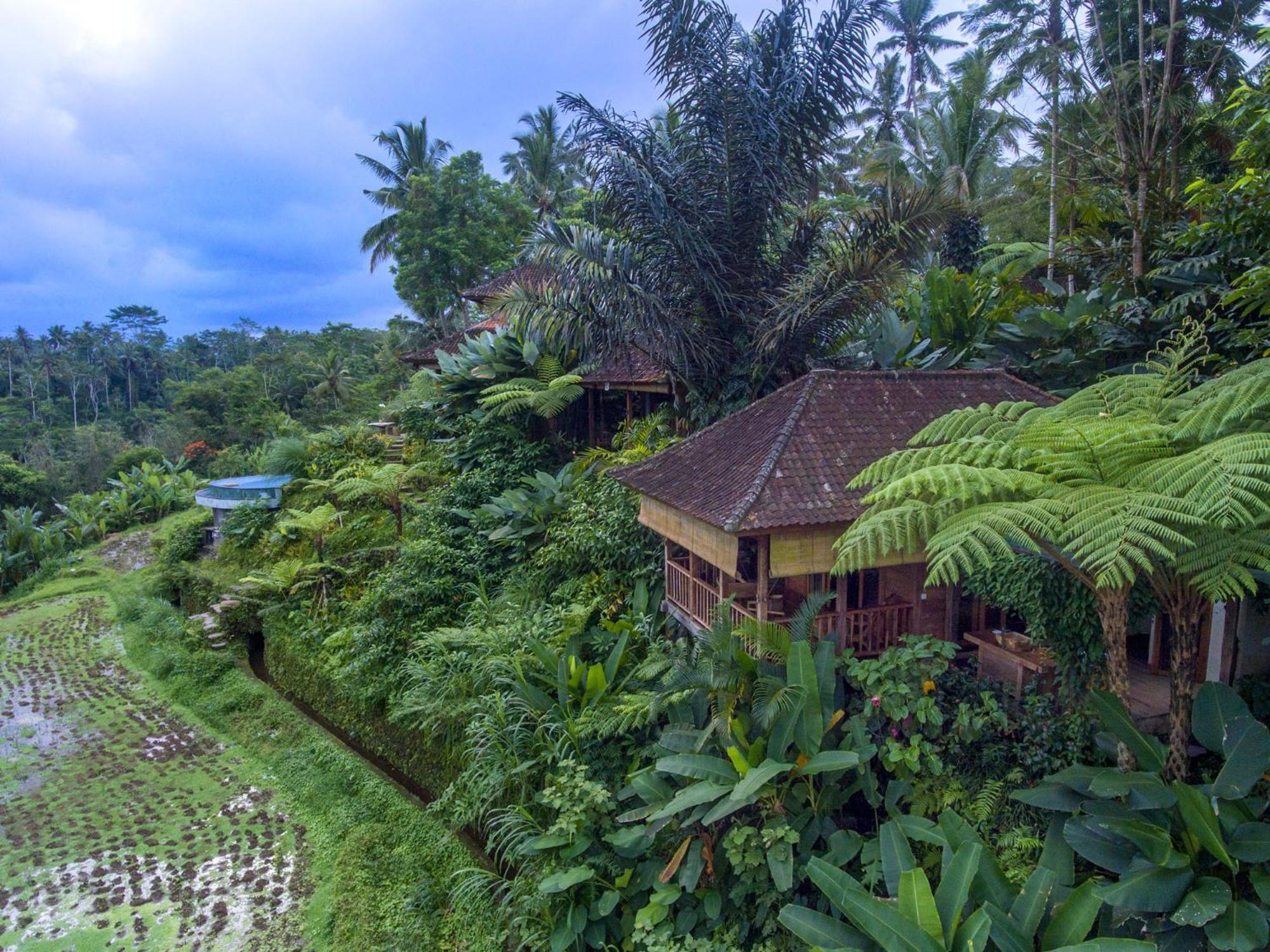 Dewi Tara Haven Bed and Breakfast Payangan Habitación foto