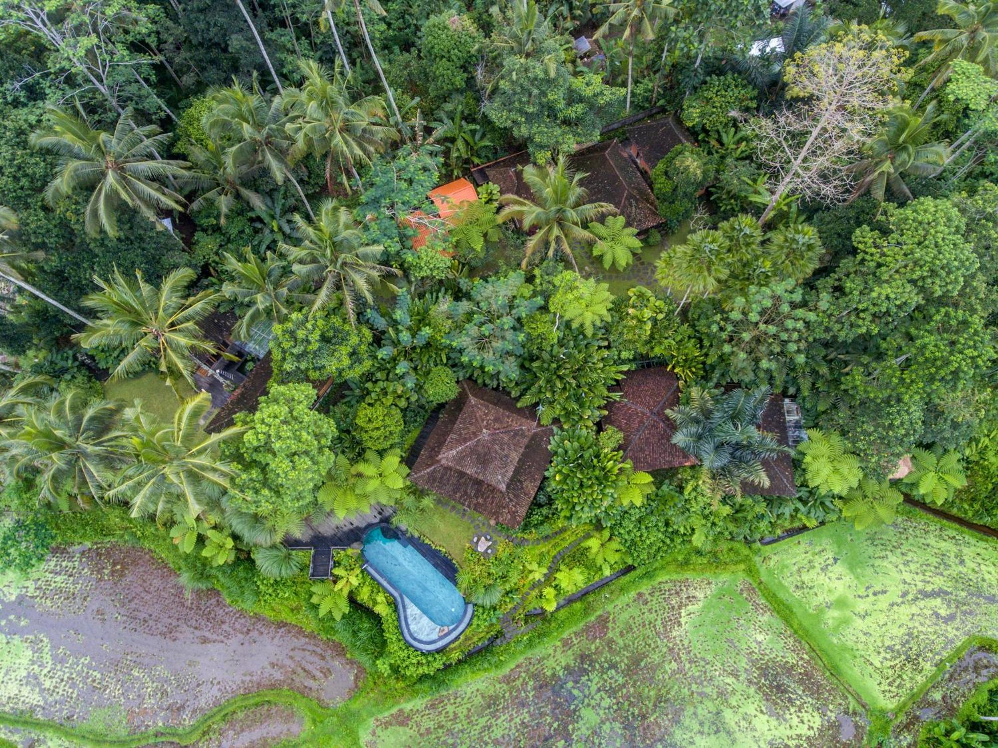 Dewi Tara Haven Bed and Breakfast Payangan Habitación foto